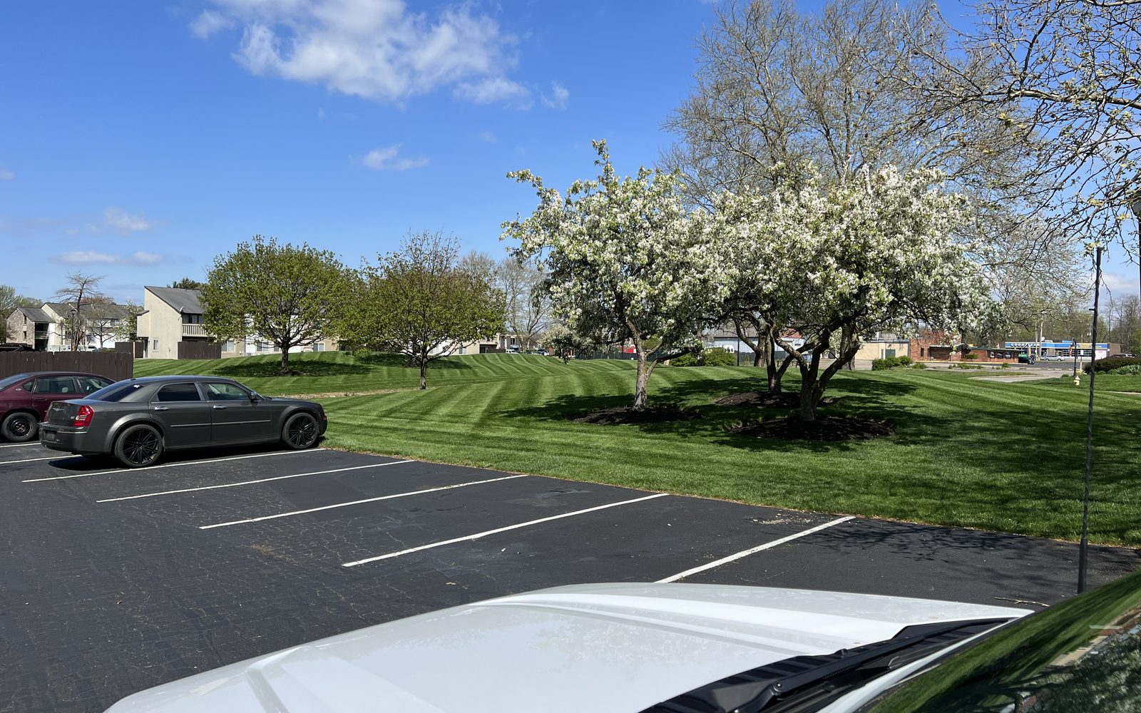 Commercial landscaping maintained by DLL in Columbus Ohio