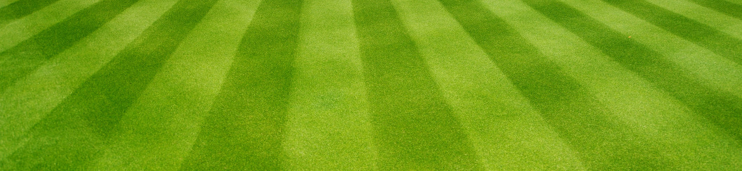 Commercial Lawn Fertilization by DLL Landscaping & Tree Service in Central Ohio