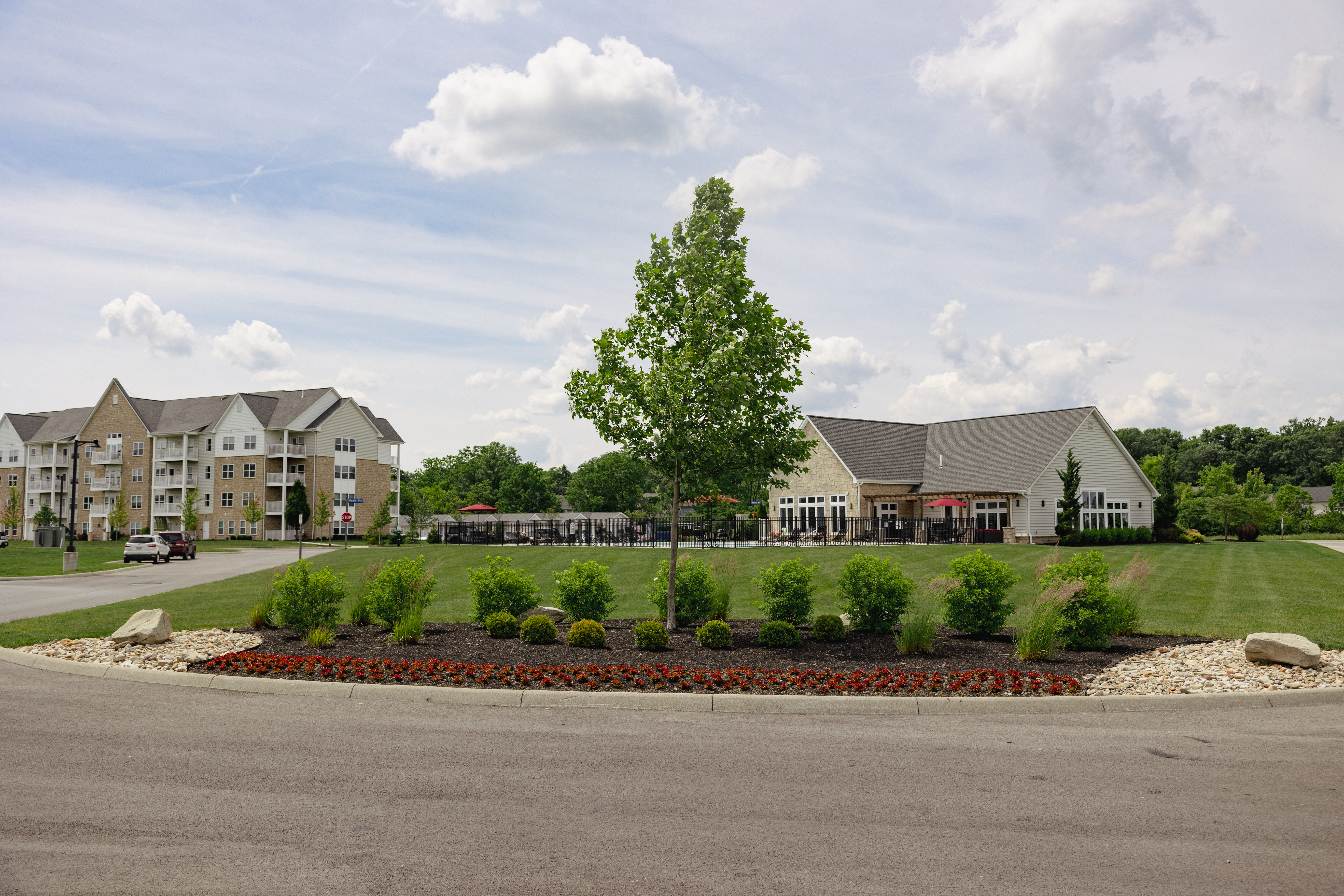 DLL landscape enhancement work